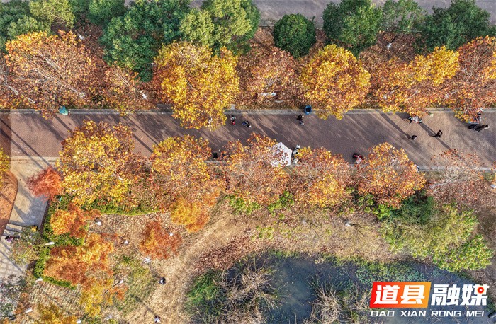 道县:口袋公园 冬景如画(组图)4_副本.jpg