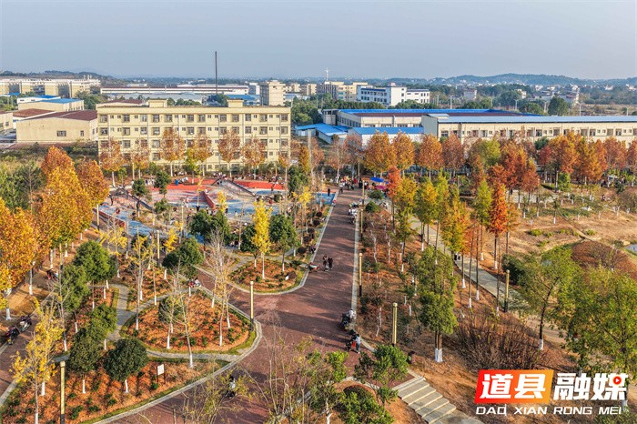 道县:口袋公园 冬景如画(组图)10_副本.jpg