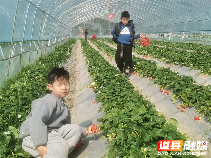 道县东门街道：创新工作思路，打造特色亮点3_副本.png
