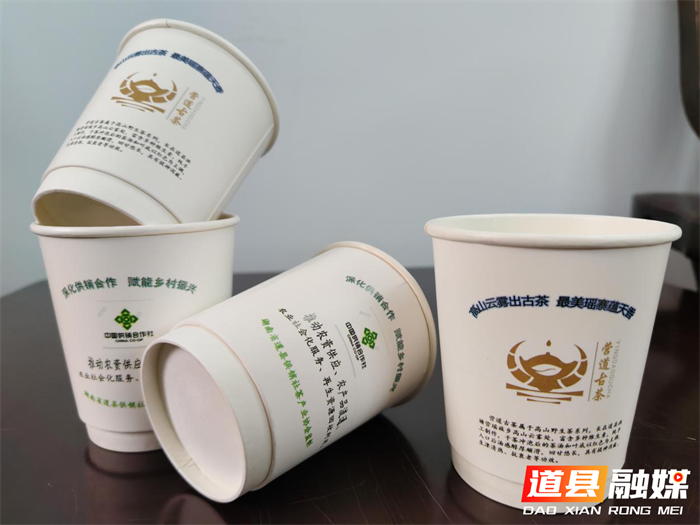 道县供销社：“杯茶一体” 创新设计，开启茶饮便携新革命1_副本.png