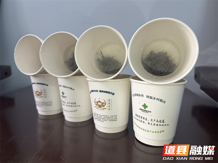 道县供销社：“杯茶一体” 创新设计，开启茶饮便携新革命3_副本.png