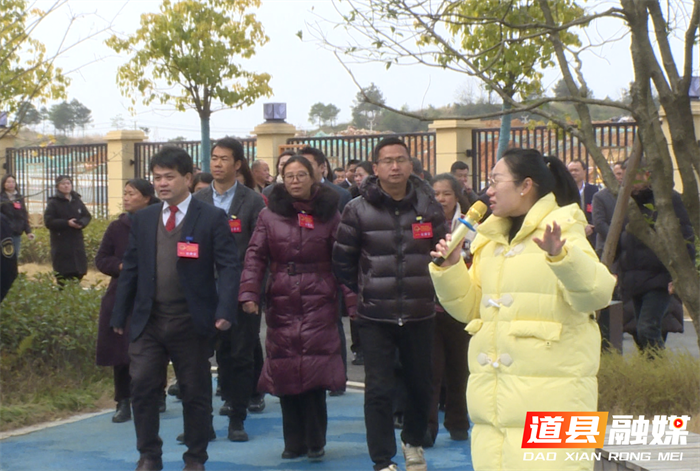 道县：喜看新变化 共谋新发展 人大代表集中视察重点项目5_副本.png