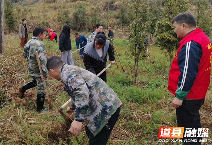 桥头国有林场开展党员义务植树主题活动2_副本.png