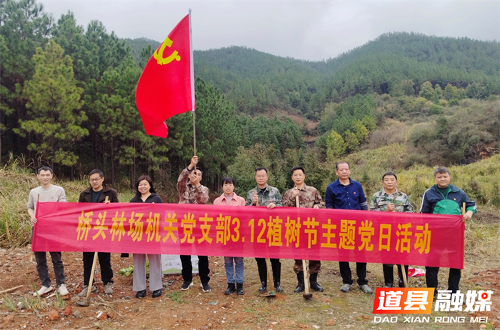 桥头国有林场开展党员义务植树主题活动1_副本.png