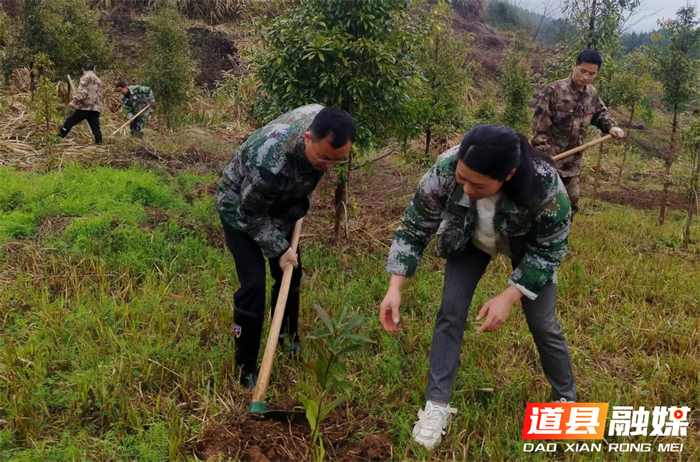 桥头国有林场开展党员义务植树主题活动3_副本.png