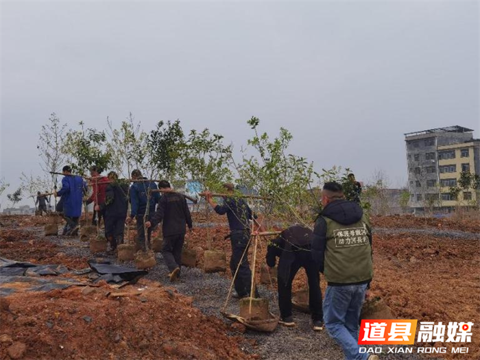 道县：夯实苗木保障 提升造林质量3_副本.png