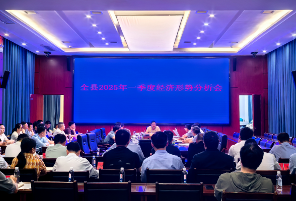 全力攻坚二季度  奋力实现“双过半”  道县召开2025年一季度经济形势分析会议