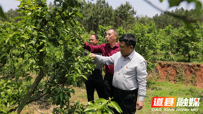 唐令德：扎根乡土践初心 用奉献绘就山乡画卷1_副本.png