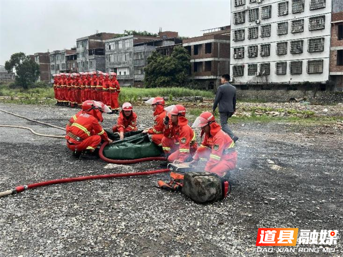 道县全力防范森林安全事故3_副本.png