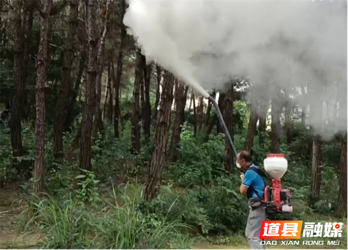 道县多措并举推动绿色发展3_副本.png