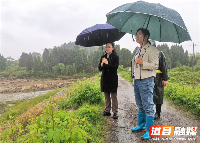 道县梅花镇：落实落细防汛工作措施 全力打好防汛“主动仗”1_副本.png
