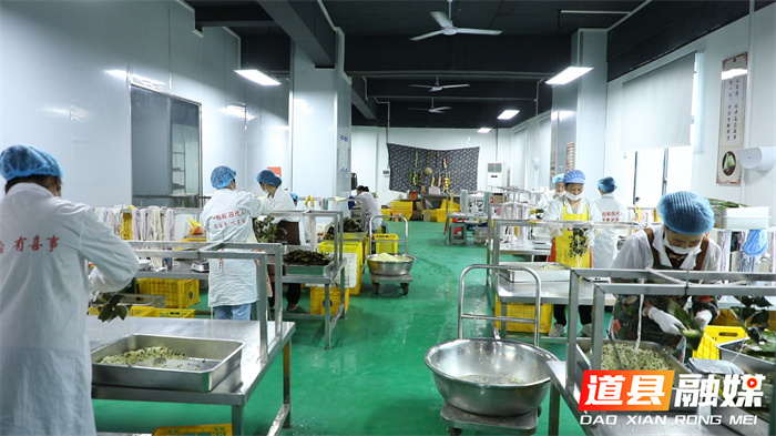 道县：古法新粽香飘端午 非遗技艺焕发新生2_副本.jpg