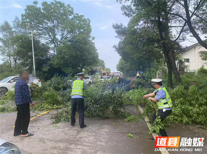 道县：国道上倾倒树木阻交通  交警清理保畅通1_副本.png