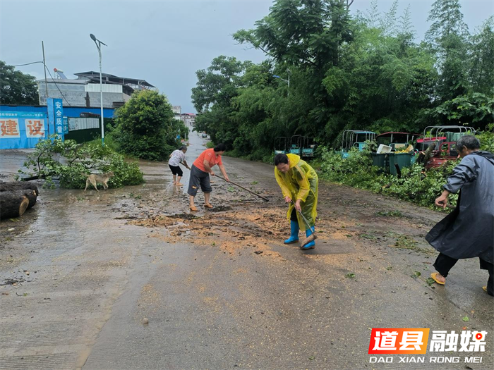 大树拦路急 干群清障快3_副本.png