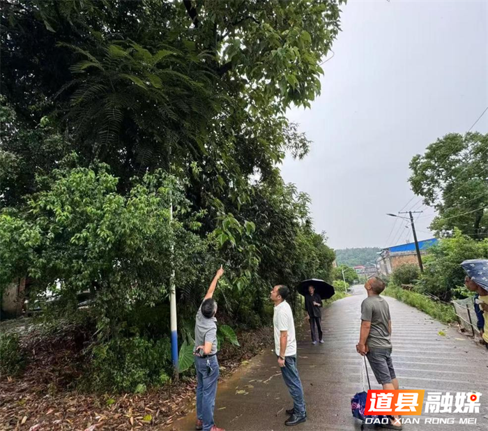 道县白马渡镇：冒雨排查除隐患 筑牢安全防护堤  1_副本.png