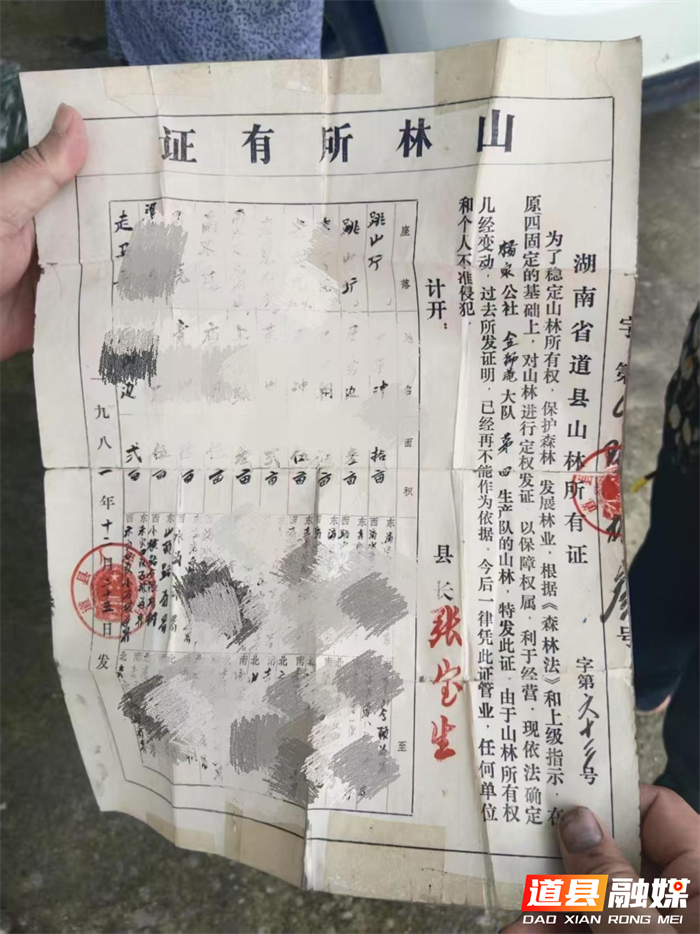 道县四马桥镇高效化解一起林地权属纠纷 多元调解筑牢基层治理防线2_副本.png