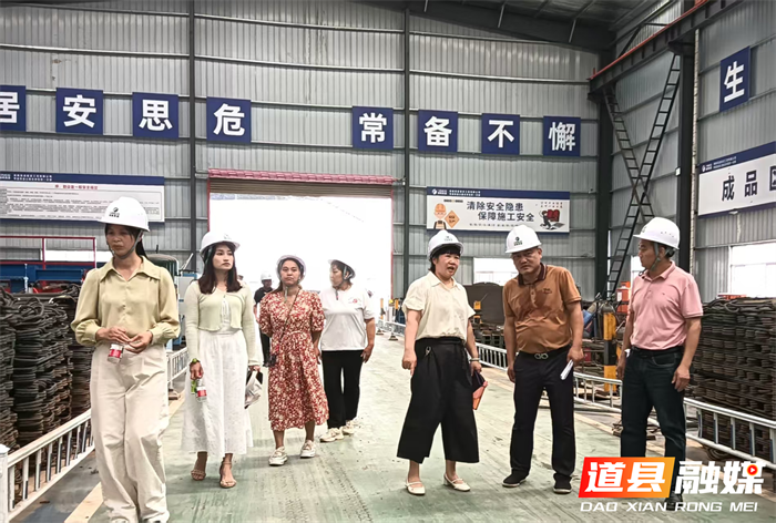 道县梅花镇人大主席团组织人大代表开展调研活动5_副本.png