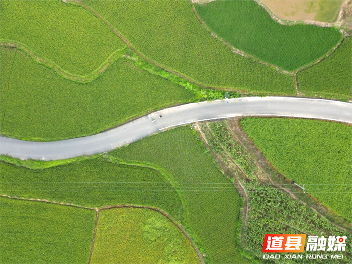道县司空岩村：风吹稻香守望丰收在即2_副本.png
