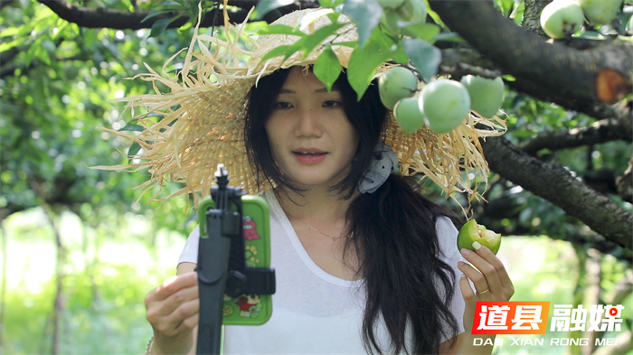 道县：青翠奈李压弯枝 “90后”儿媳直播带货破“销愁”3_副本.png