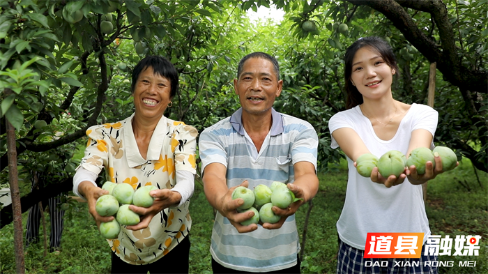 道县：青翠奈李压弯枝 “90后”儿媳直播带货破“销愁”1_副本.png