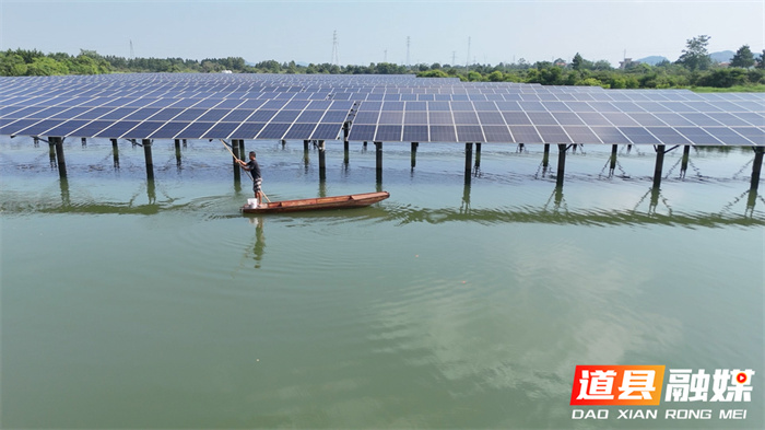 光伏板“水上漂” 夏日发电养鱼两不误4_副本.jpg