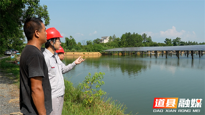 光伏板“水上漂” 夏日发电养鱼两不误6_副本.jpg