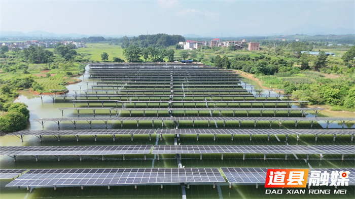 光伏板“水上漂” 夏日发电养鱼两不误5_副本.jpg