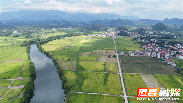 道县：高标准农田建设结硕果 机械化“双抢”谱写现代农业新篇章1_副本.jpg