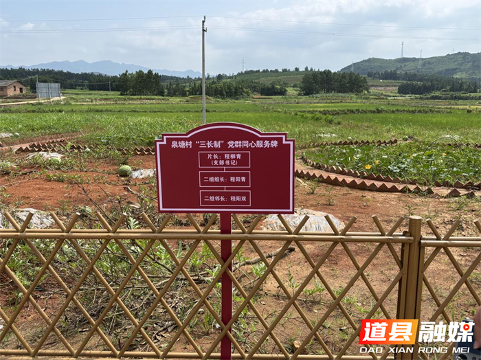 追寻先烈足迹 汲取奋进力量——道县、蓝山选调生赴陈树湘烈士纪念馆开展沉浸式学习3_副本.png