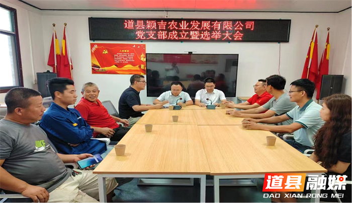 道县颖吉农业发展有限公司党支部正式成立 为乡村振兴注入“红色动能”1_副本.png