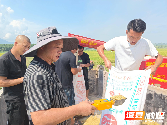 道县：“稻-稻-油”三熟制省级万亩综合示范片早稻平均亩产554.6公斤2_副本.png