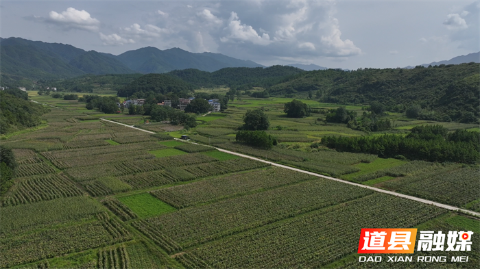 道县：冬瓜南瓜“抱团”闯市场 年销300万斤助农增收7_副本.png