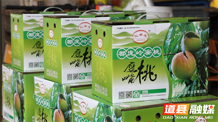 道县：鹰嘴桃甜蜜上市 硕果累累助农增收3_副本.png