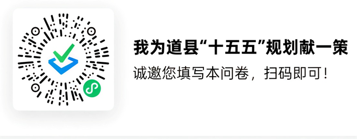 我为道县“十五五”规划献一策_副本.png