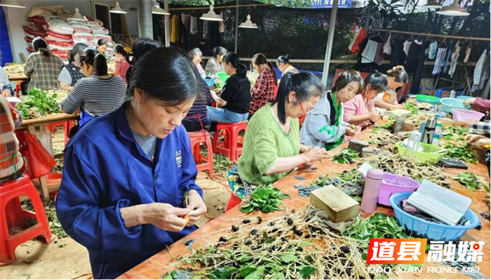 道县高质量建成保障性林草苗圃5个2_副本.png