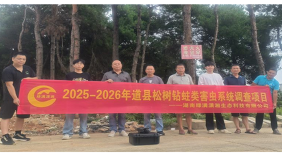 道县严防松林虫害 委托第三方开展钻蛀类害虫调查