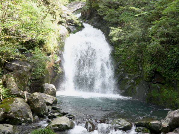 视频｜（党建时空）道县空树岩村：深山藏飞瀑 生态赋能“空心村”蜕变网红避暑地