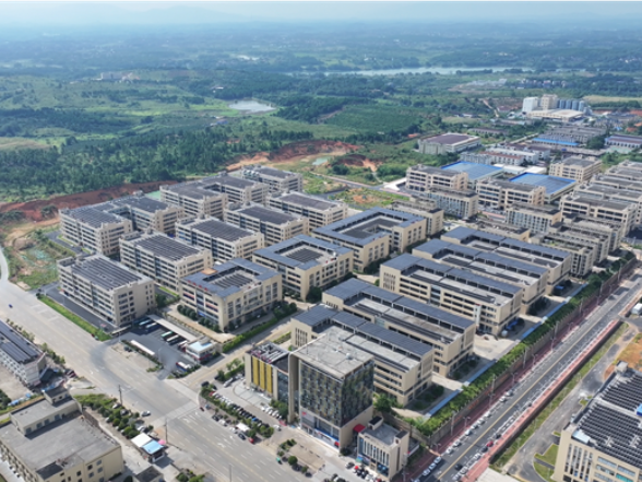 道县：新型显示器产业集群效应凸显  上下游协同构建全链条发展生态