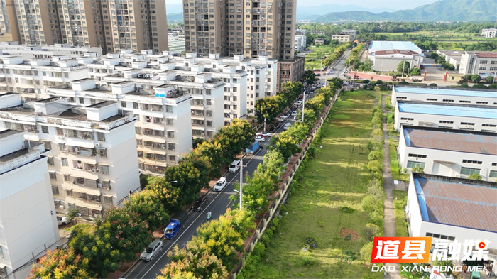 道县：秋色初显 栾树花开正盛（组图）1_副本.jpg