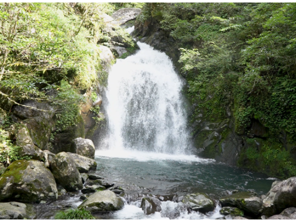 （党建时空）道县空树岩村：深山藏飞瀑 生态赋能“空心村”蜕变网红避暑地