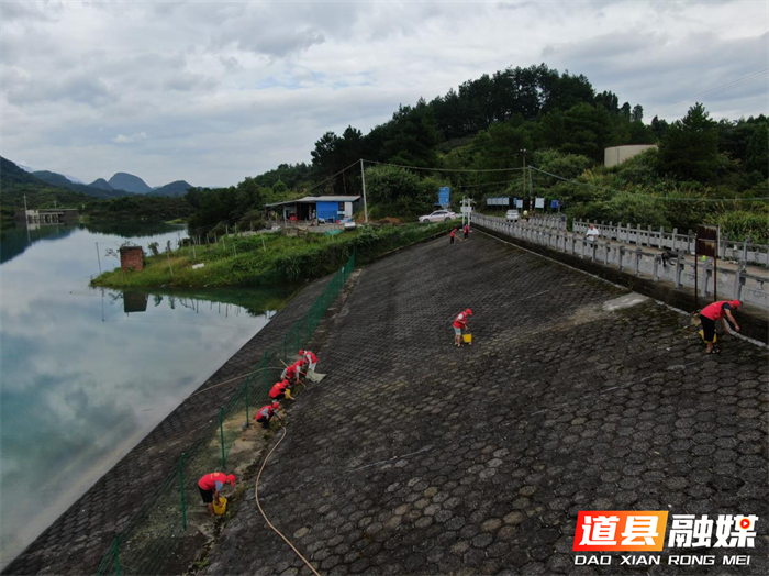 道县乐海水库管理所开展河库保洁活动1_副本.png