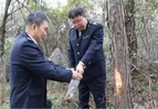 道县多措并举加强松科植物检疫管理