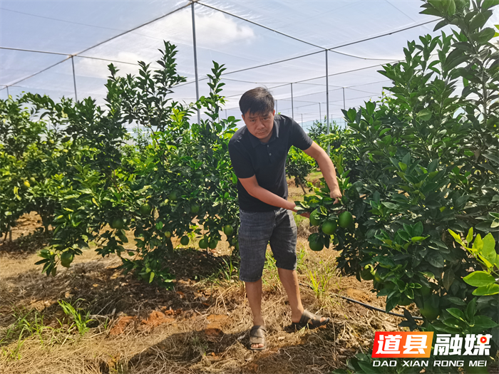 道县东门街道：党建领航兴产业 集体增收促民富2_副本1.png