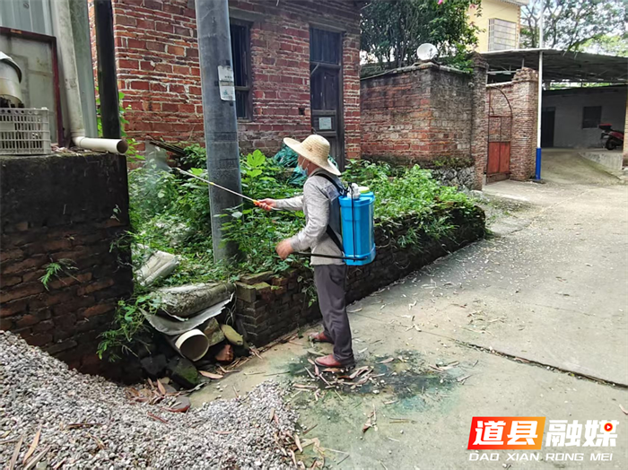 道县东门街道开展“清积水、防蚊虫”爱国卫生专项行动1_副本.png