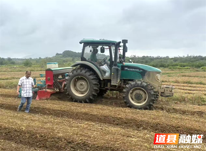 道县梅花镇：抢抓农时忙育苗帮助群众解忧愁1_副本.png