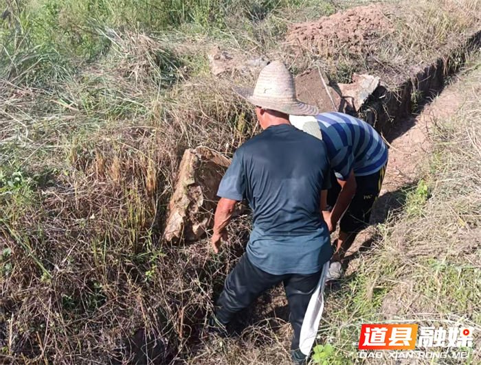 道县梅花镇：修通“生命线”，灌溉“幸福田”2_副本.png