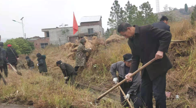 道县梅花镇：开展党员义务劳动彰显党员劳动风采