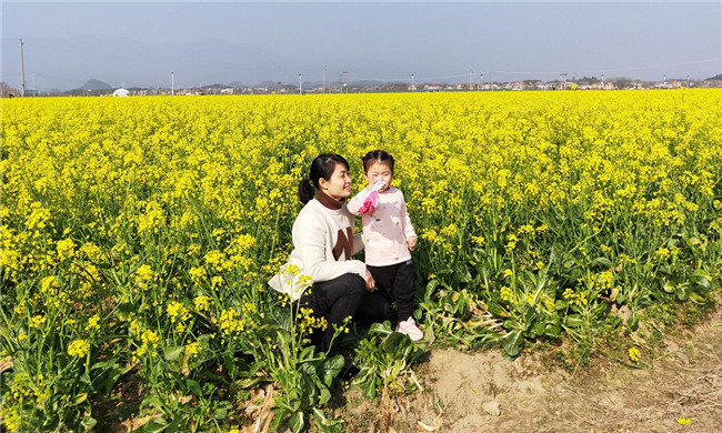 0207道县：油菜花香引客来01.jpg