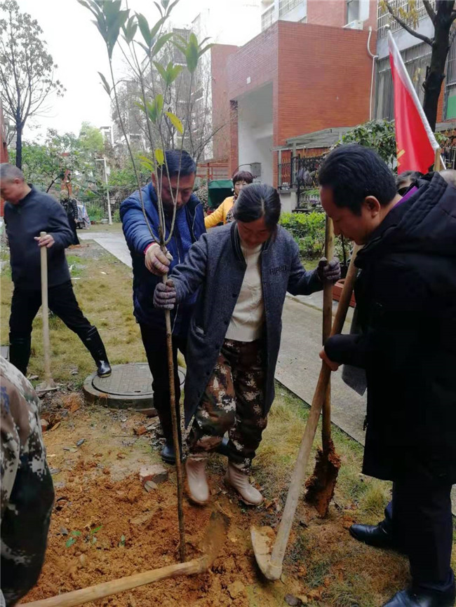 0312道县：党群齐发力 小区添绿衣01.jpg