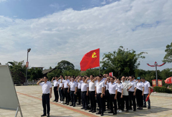 道县高新区联合园区企业开展“学史力行”主题党日暨庆祝建党100周年活动